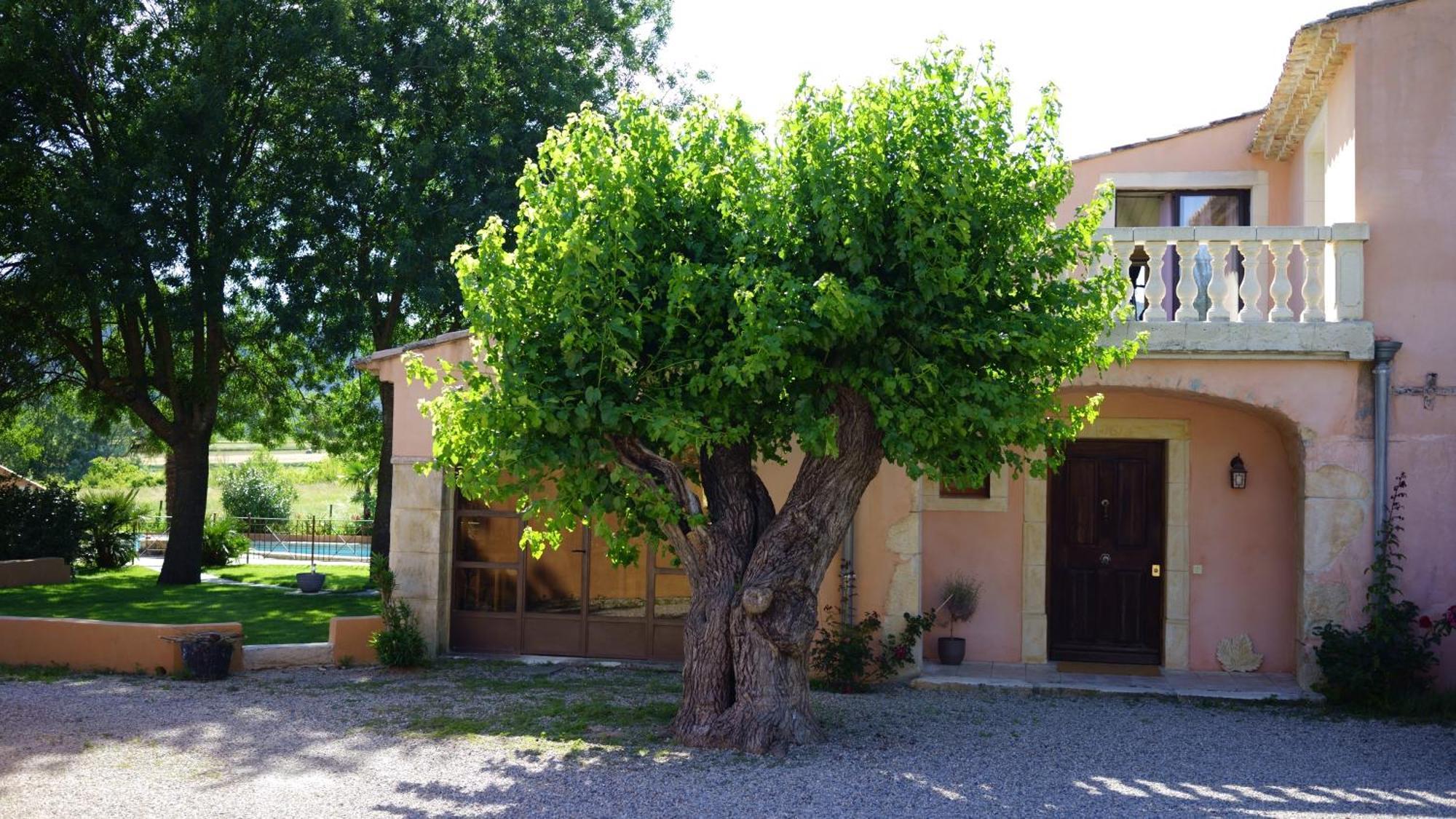 Chambres D'Hotes, B&B La Musardiere Alba-la-Romaine Exterior photo